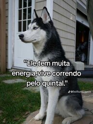 ÉoVicentini#0312