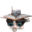 linusvlr