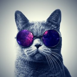 lady_the_direwolf