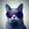 lady_the_direwolf