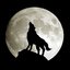 AIpha Wolf