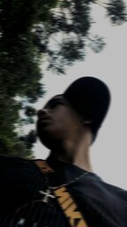 dioguin 016pkrl#1724