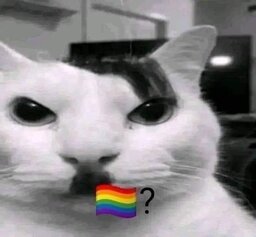 Macetador de Rata Fedida