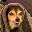 69_4XBB_69 (was deleted at: 2021-04-17T22:26:10.4251180Z)