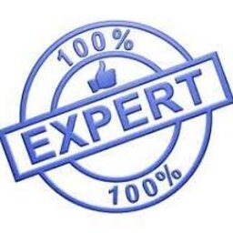 Expert231