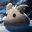 The Last Poro