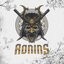 Ronnins E-Sports