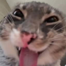 nuttedonmyleg