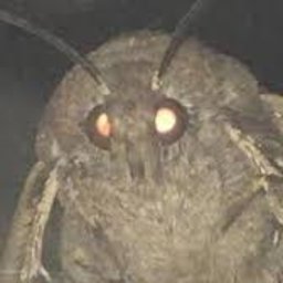 monky_man