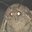 monky_man