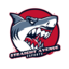 Straight Avenue eSports (was deleted at: 2023-06-30T16:25:19.4579551Z)