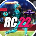 Real Cricket council ™