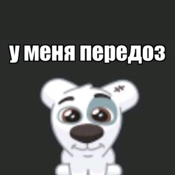 sshetic