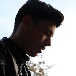 thezev