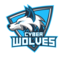 LTU Cyber Wolves