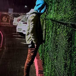 Dumytruu