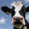 FarmersIForm