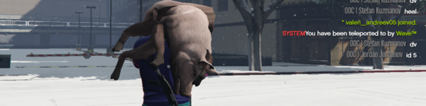 Banner