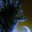 WolfStorm