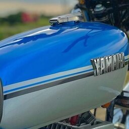 Royal 786