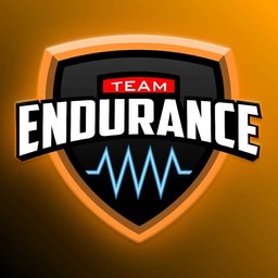 Team Endurance