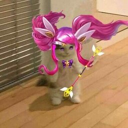 im nayeony