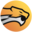 Wild Esports FF
