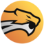 Wild Esports FF