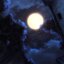 ttv nordlys