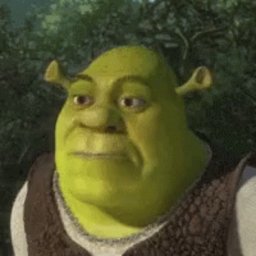 Shrek from Minecraft