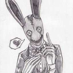 Mr.Bunny