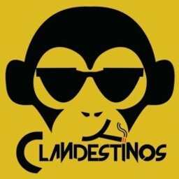 DAMNbroMr.CLT
