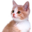 não pensamos num nome (was deleted at: 2025-01-09T22:20:44.1841287Z)