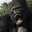 12monkeys