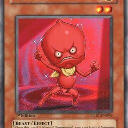 OJAMA RED