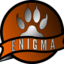 ENIGMA ESPORT