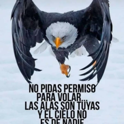 luisparedescasique@gmail.com