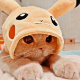Its_Solar