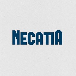 TE _NecatiA