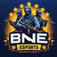 BNE eSports (was deleted at: 2024-05-13T11:51:21.5780249Z)