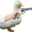 irurzun89