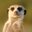Tropa de TikTok (was deleted at: 2022-10-15T02:27:27.4218968Z)