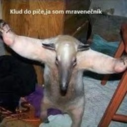 SimoN___