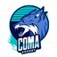 COMA Esports