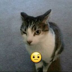 APENAS JOGO DE DUELISTA