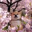 Mellower (was deleted at: 2020-04-26T09:28:12.5410282Z)