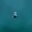 Deston Dolphins