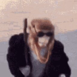 SALTYvlr