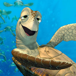 SpicyTurtle