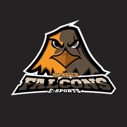 CIMATEC Falcons